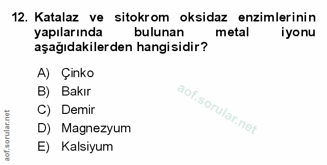 Soru 12