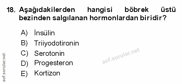 Soru 18