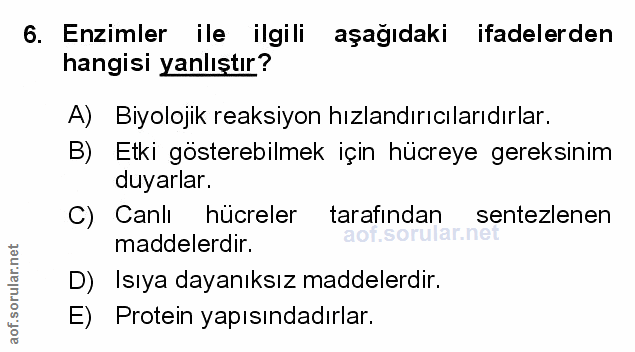 Soru 6