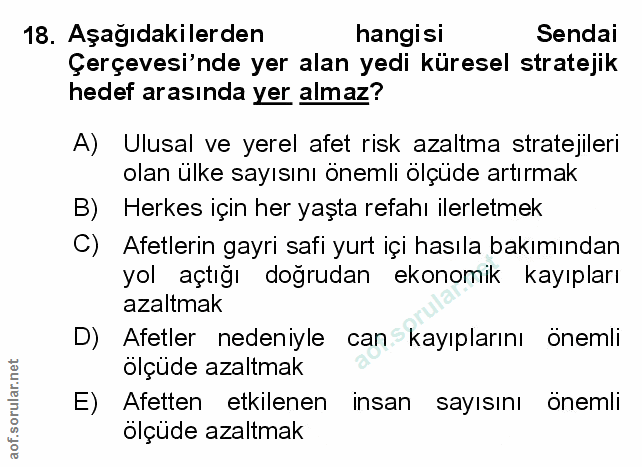 Soru 18