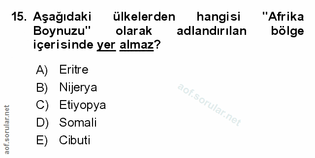 Soru 15
