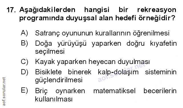 Soru 17