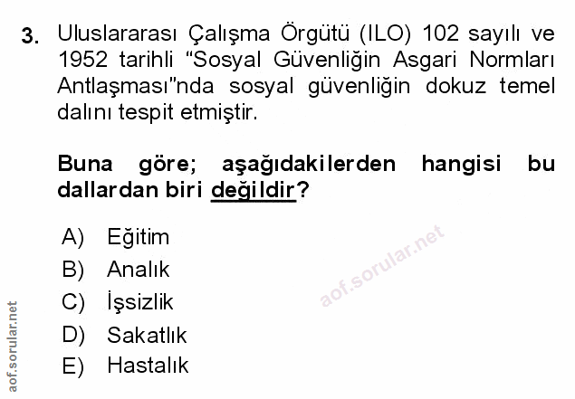 Soru 3