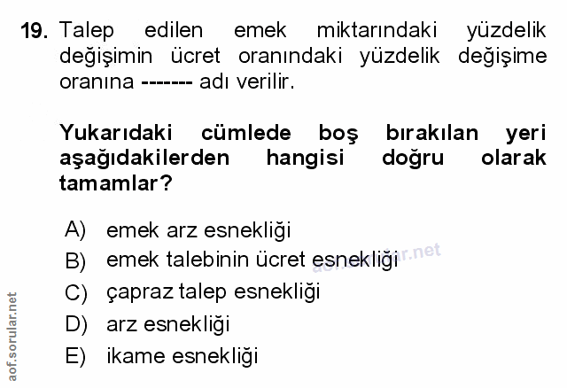 Soru 19