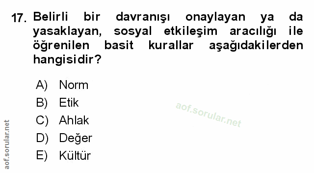 Soru 17