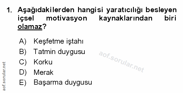 Soru 1