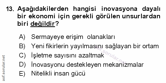 Soru 13