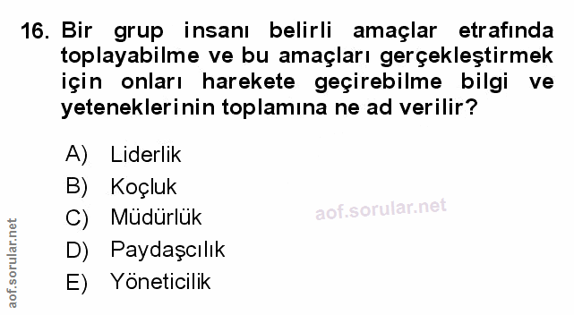 Soru 16