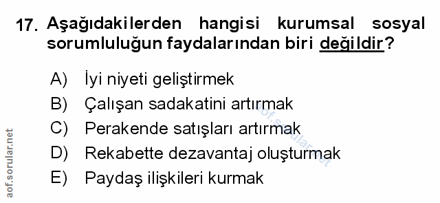 Soru 17