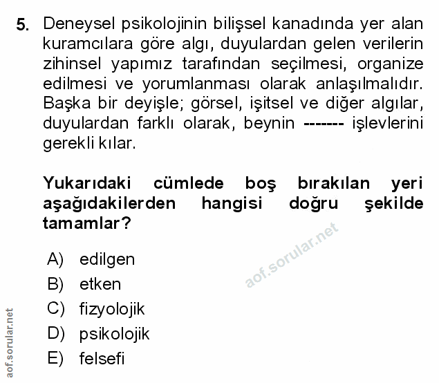 Soru 5