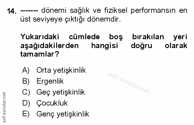 Soru 14