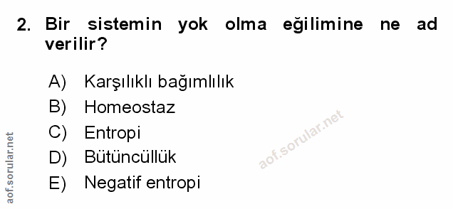 Soru 2