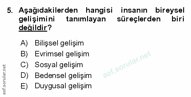 Soru 5