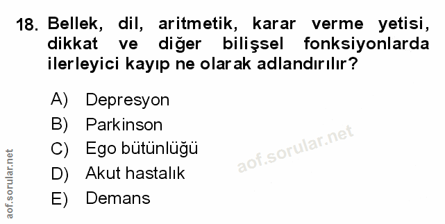 Soru 18