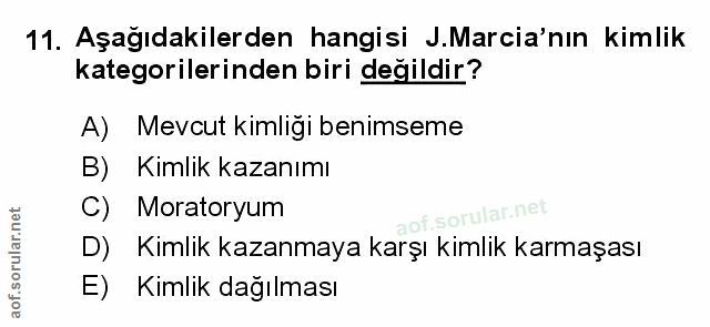 Soru 11