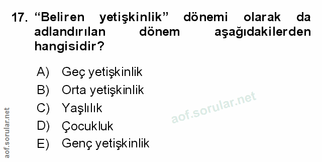 Soru 17