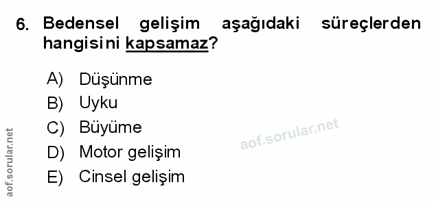Soru 6