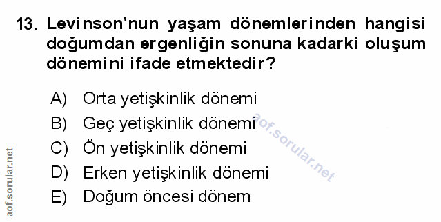 Soru 13