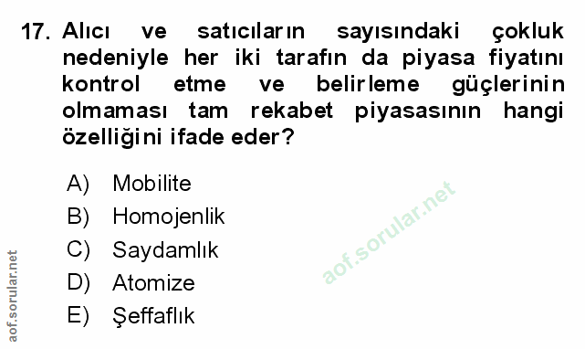 Soru 17