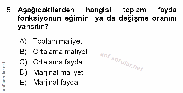 Soru 5
