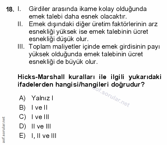 Soru 18