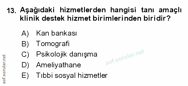 Soru 13