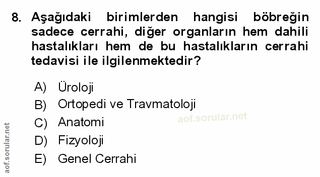 Soru 8