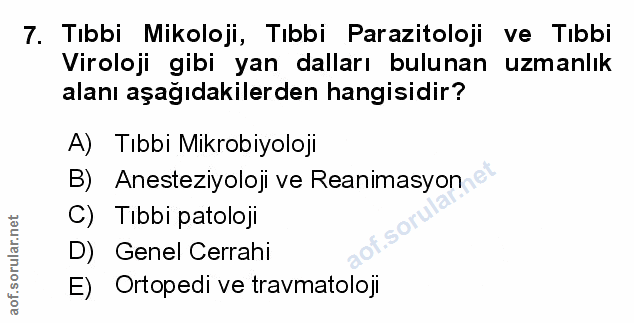 Soru 7