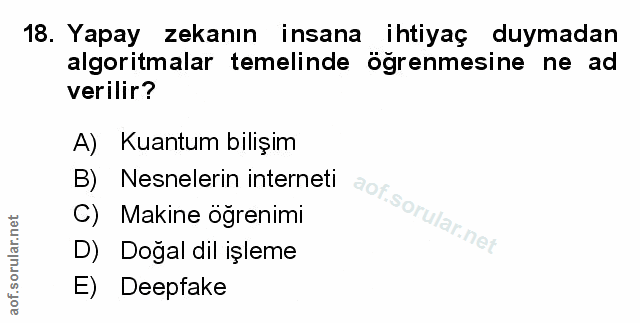 Soru 18