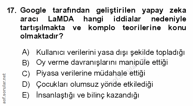 Soru 17