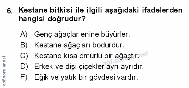 Soru 6
