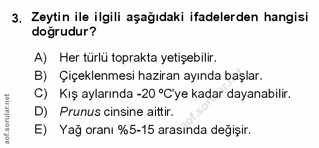 Soru 3
