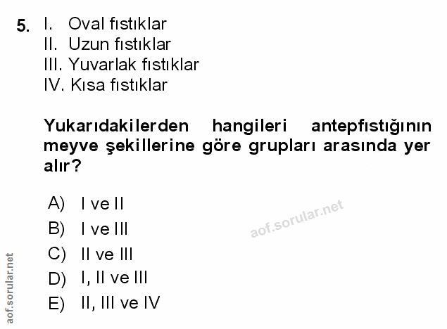 Soru 5