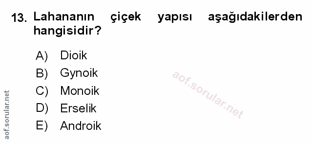 Soru 13