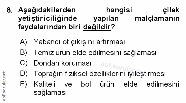 Soru 8