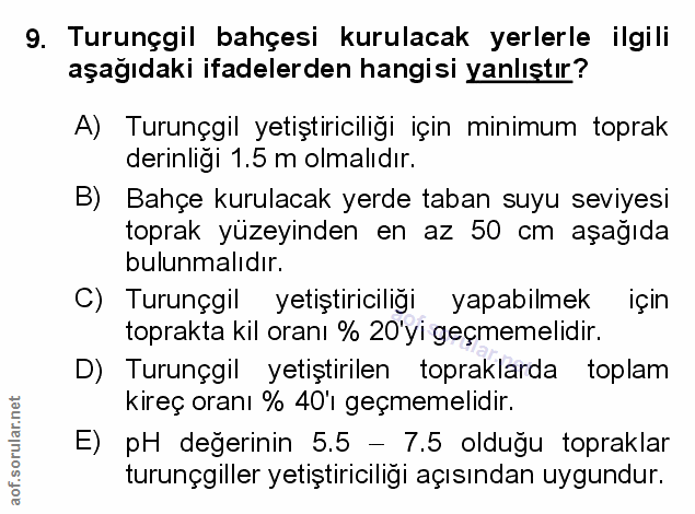 Soru 9