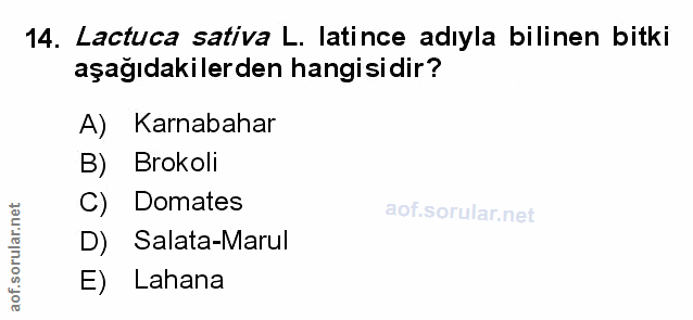 Soru 14