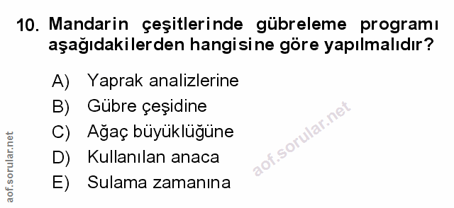 Soru 10
