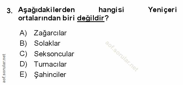 Soru 3