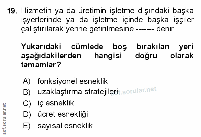 Soru 19