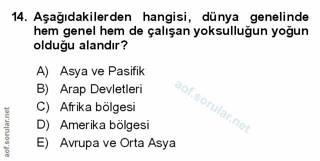 Soru 14