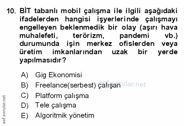 Soru 10