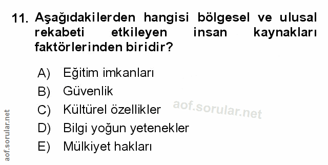 Soru 11