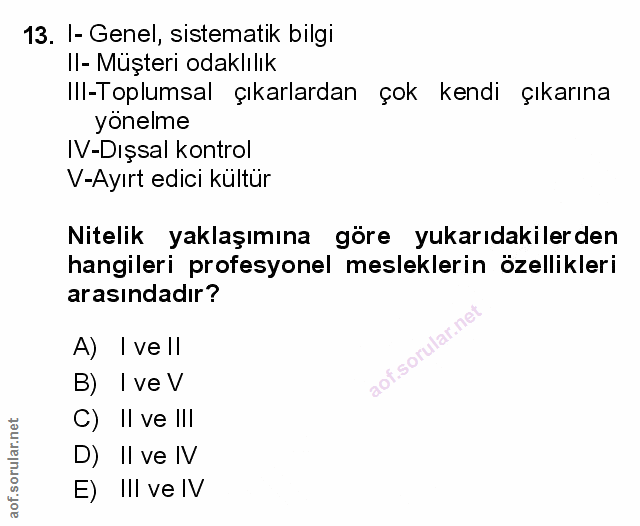 Soru 13