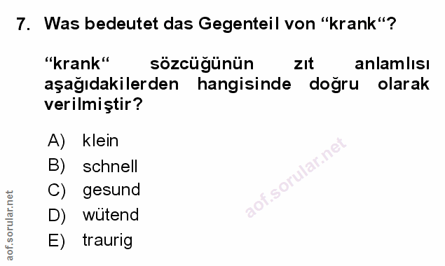 Soru 7