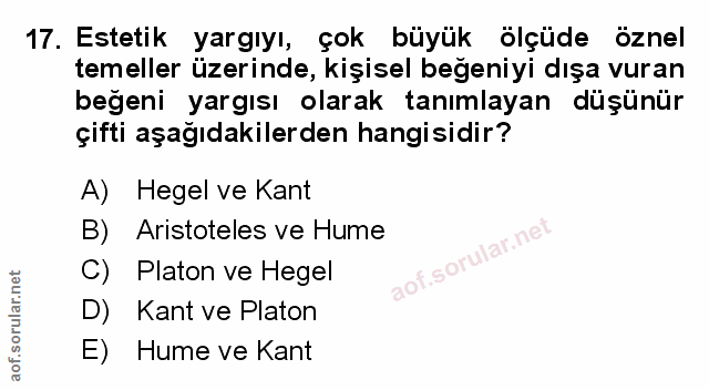 Soru 17