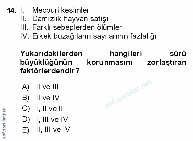 Soru 14