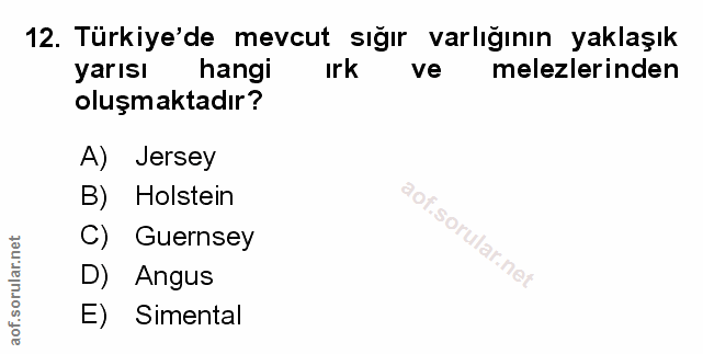 Soru 12