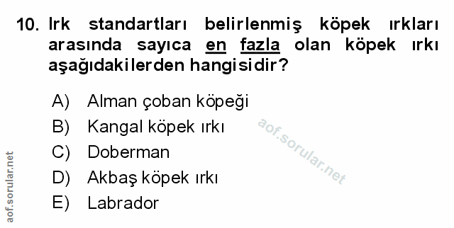 Soru 10