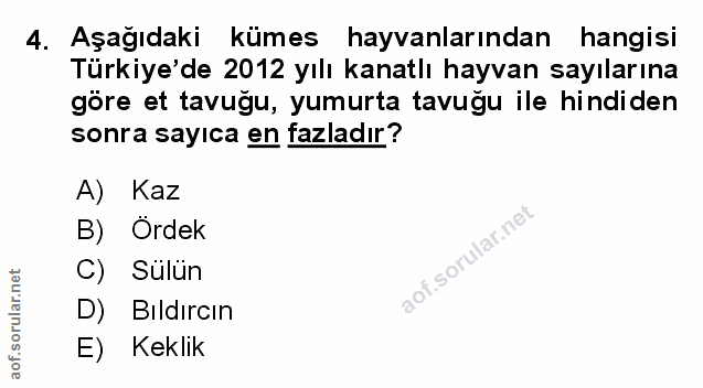 Soru 4